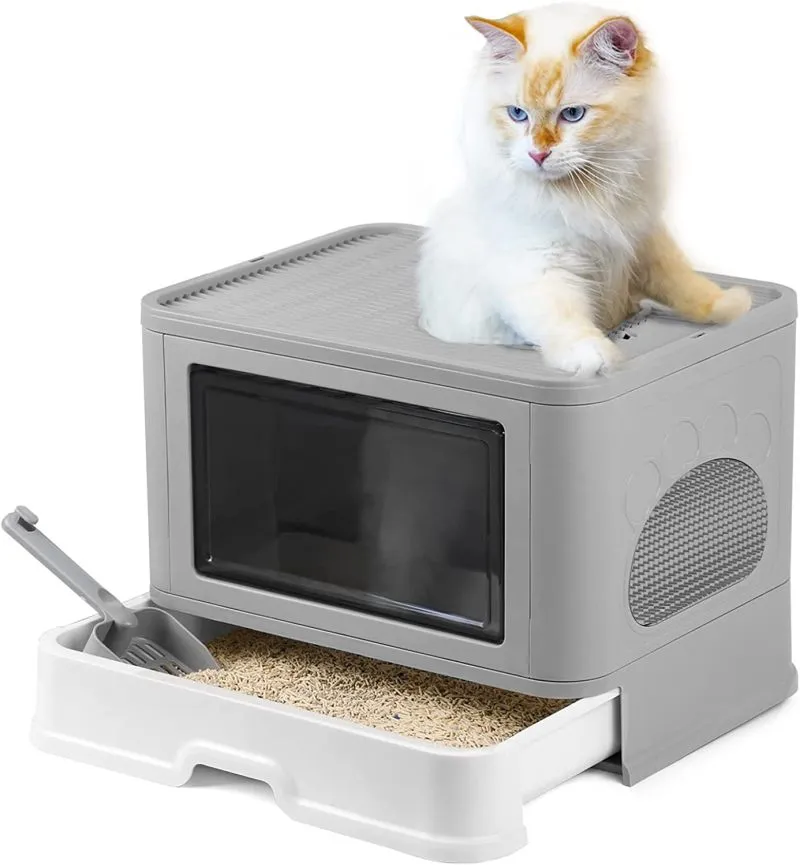 Caja De Arena Plegable Para Gatos - Electroshopy