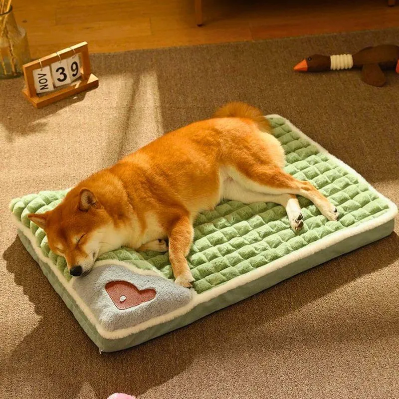 Cama Para Perro Ortopedica 60x40 - Electroshopy