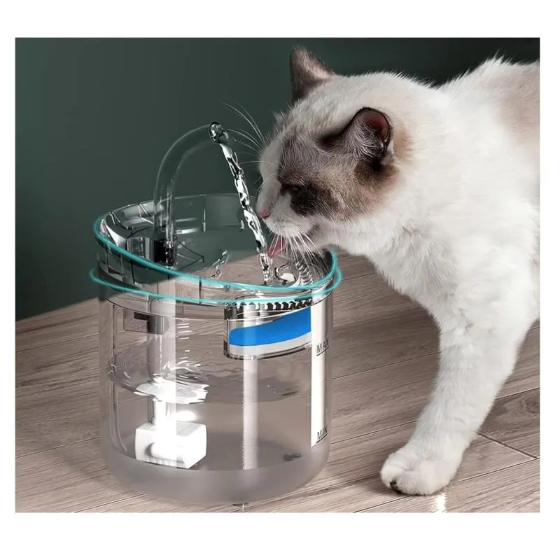 Fuente Bebedero Gato Transparente - Electroshopy