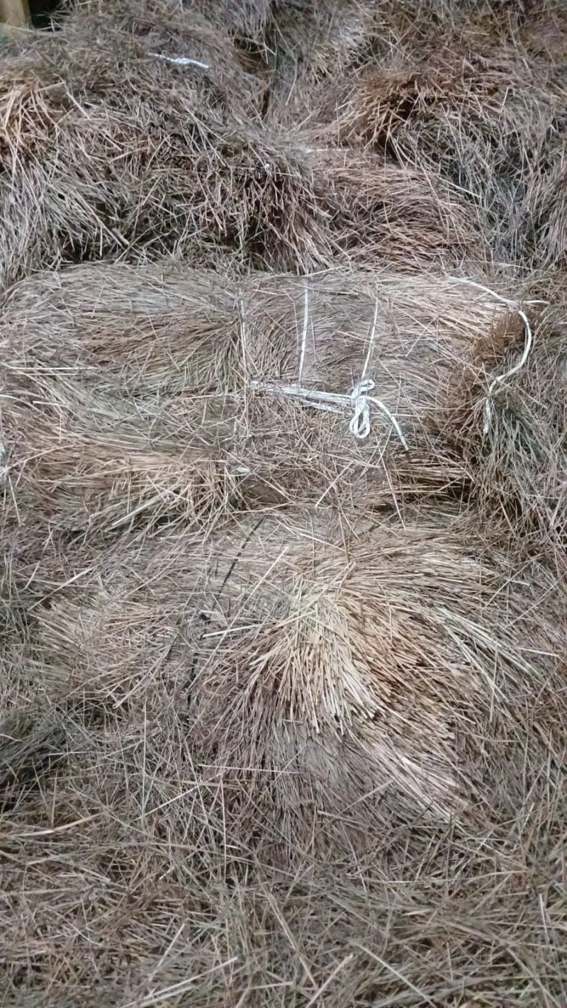 Paja de basto